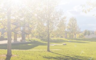 Centennials Top School Districts